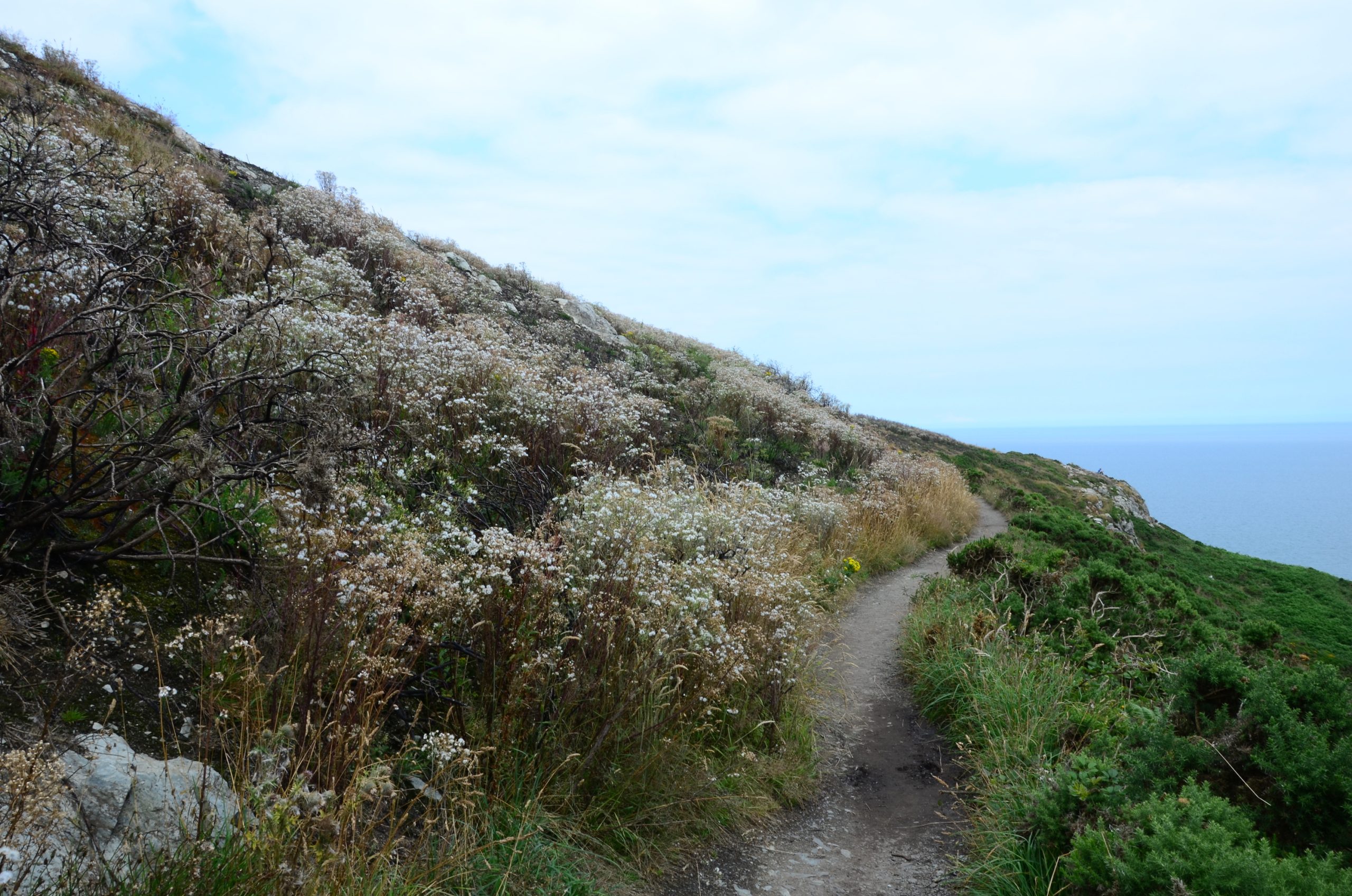 The Headland Walk