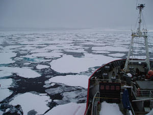 ice-web_1