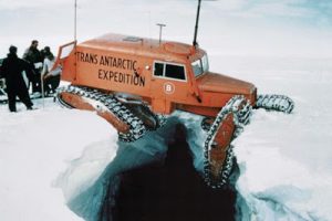 640_sno-cat