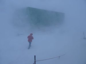 antarctic (2)