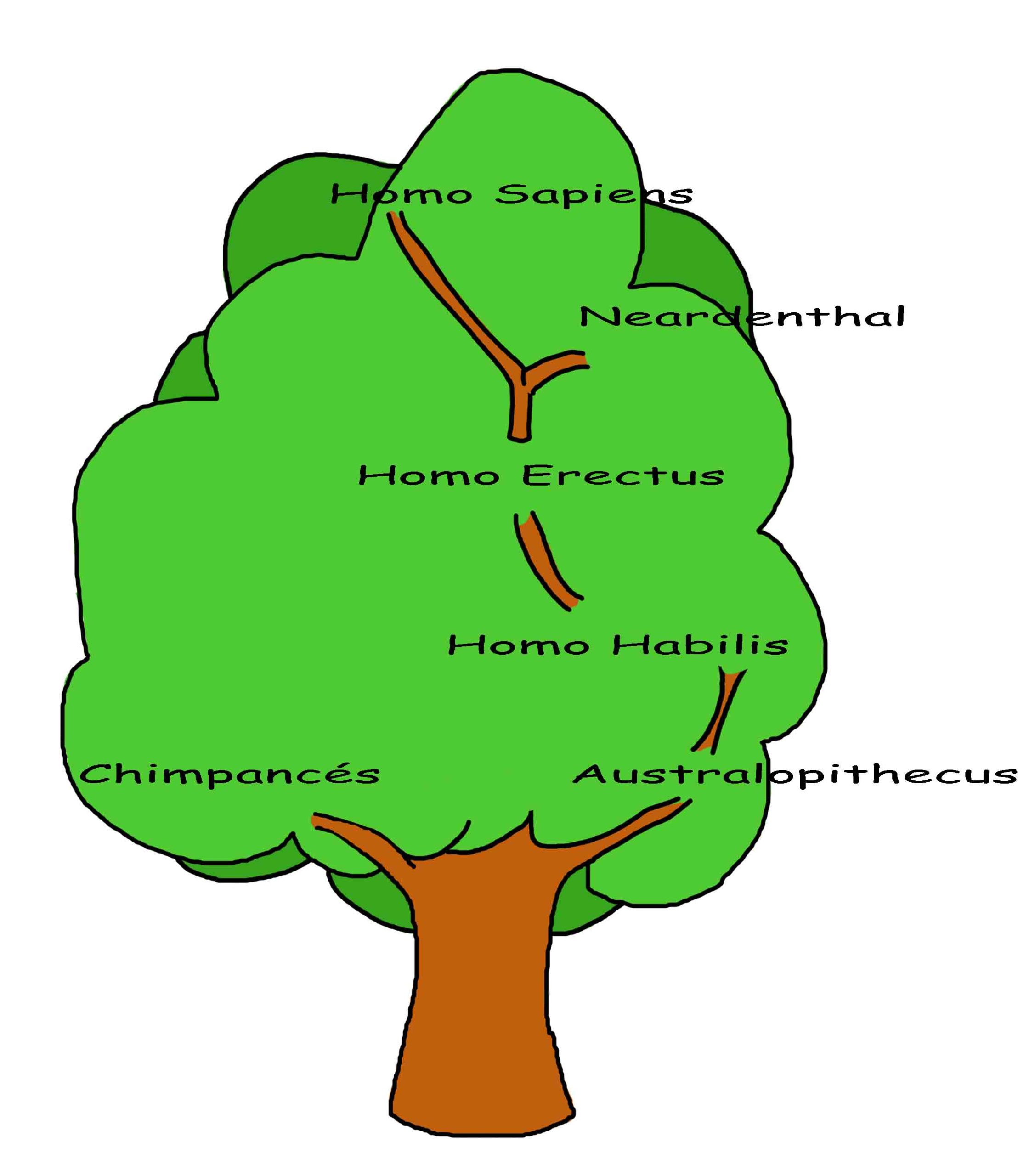Árbol genealógico de la especie humana