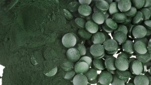 Chlorella