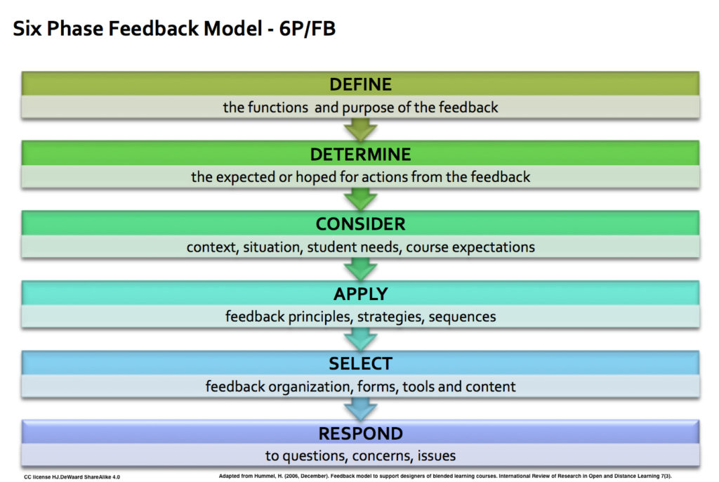 Six Phase Feedback Model