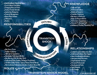 transition shock, responsibilities, role, knowledge, relationships