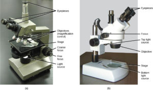 figure_03_02 pictures of microscopes