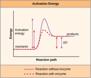 graph showing energy