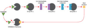 digram of inhibition