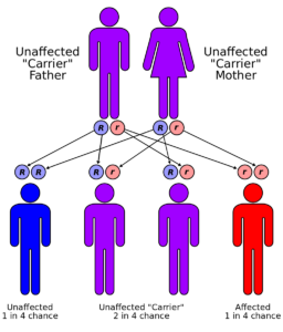 hereditary mutation