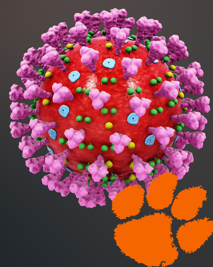 Cover image for COVID-19: A Clemson Student Perspective