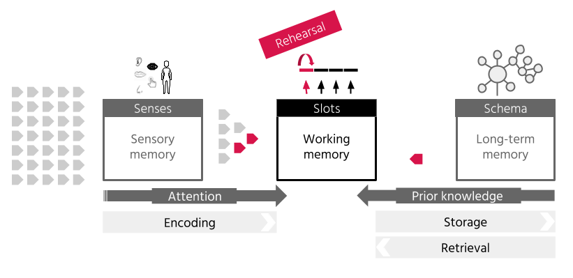 Information Processing and Storage – Science of Learning Concepts 