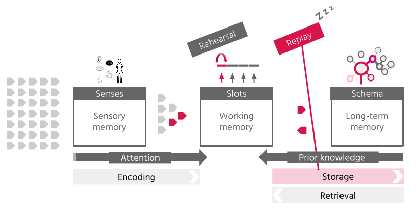 The Influence of LED Lighting on Attention and Long-Term Memory