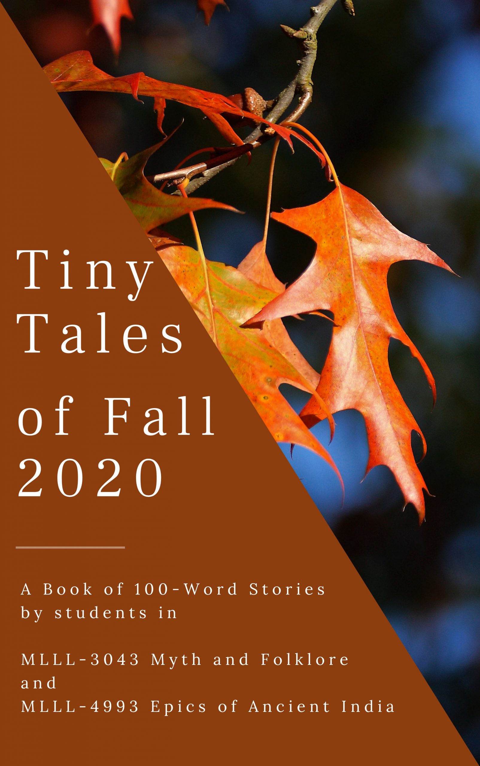 Cover image for Tiny Tales of Fall 2020