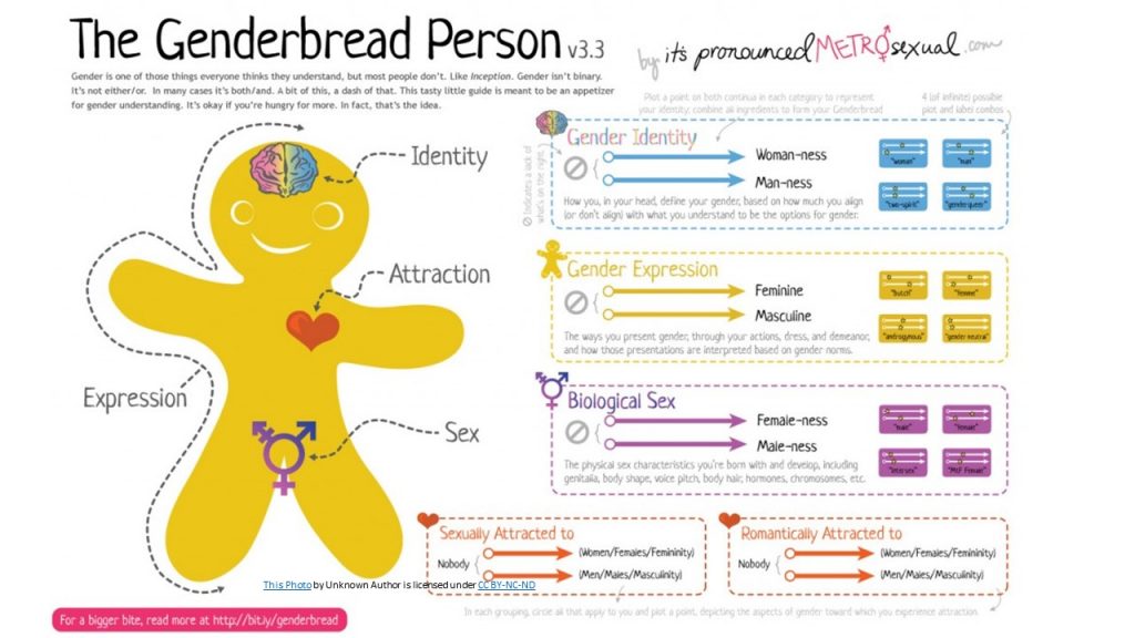 Genderbread person diagram to visualize sex, gender, sexual orientation, gender identity