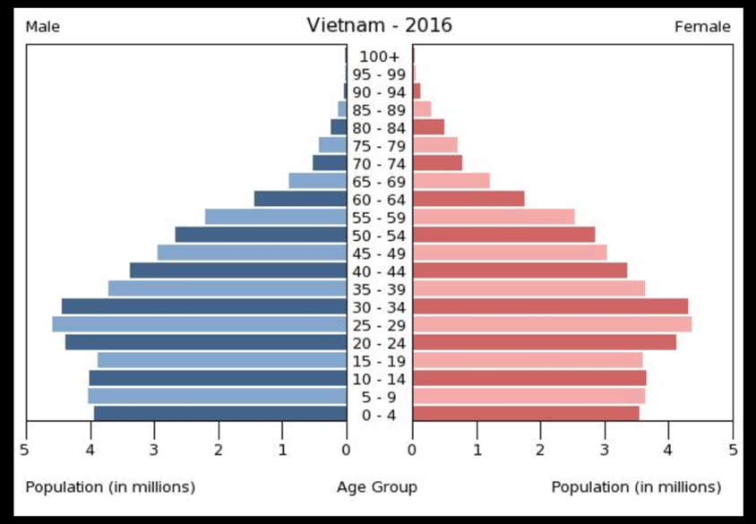 Vietnam's population pyramid shows that the population is young, the largest number of people are in their 20s and 30s