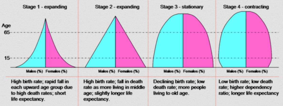 another visual model of the demographic transition with population pyramids