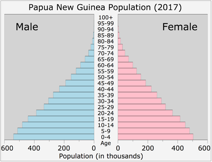 Papua New Guinea's population pyramid, it is a growing young population