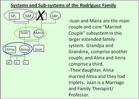 View of systems and subsystems of the Rodriguez Family