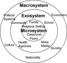 View of the human ecological model