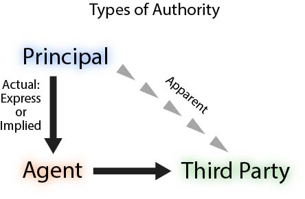 graphic showing types of authority from principal to agent