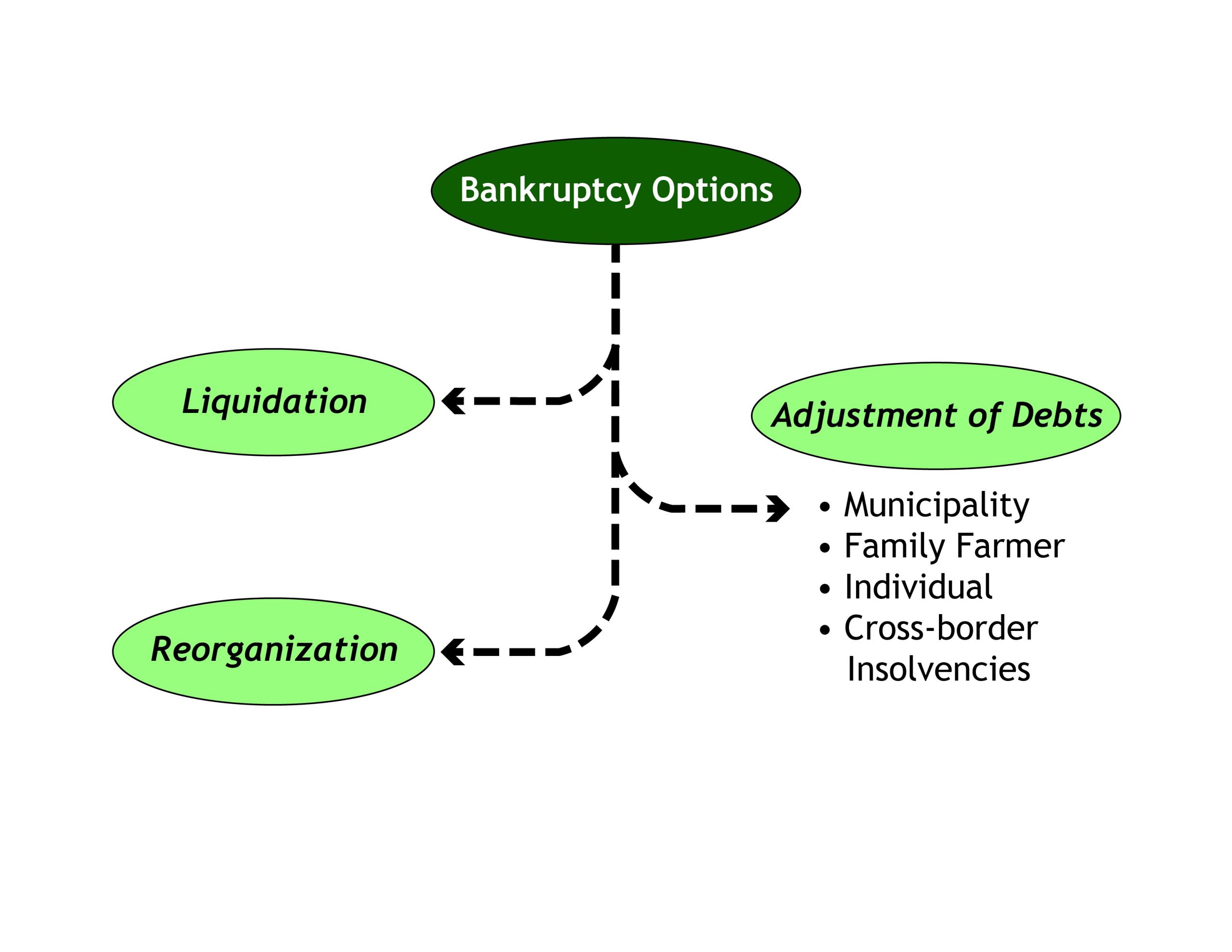 Graphic showing three types of bankruptcy options
