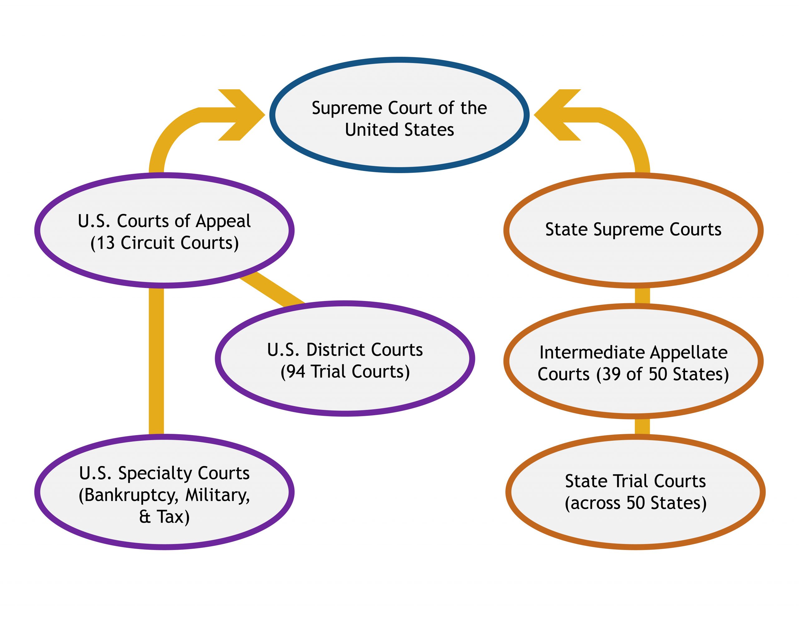 Flow chart showing the structure of trial and appellate courts