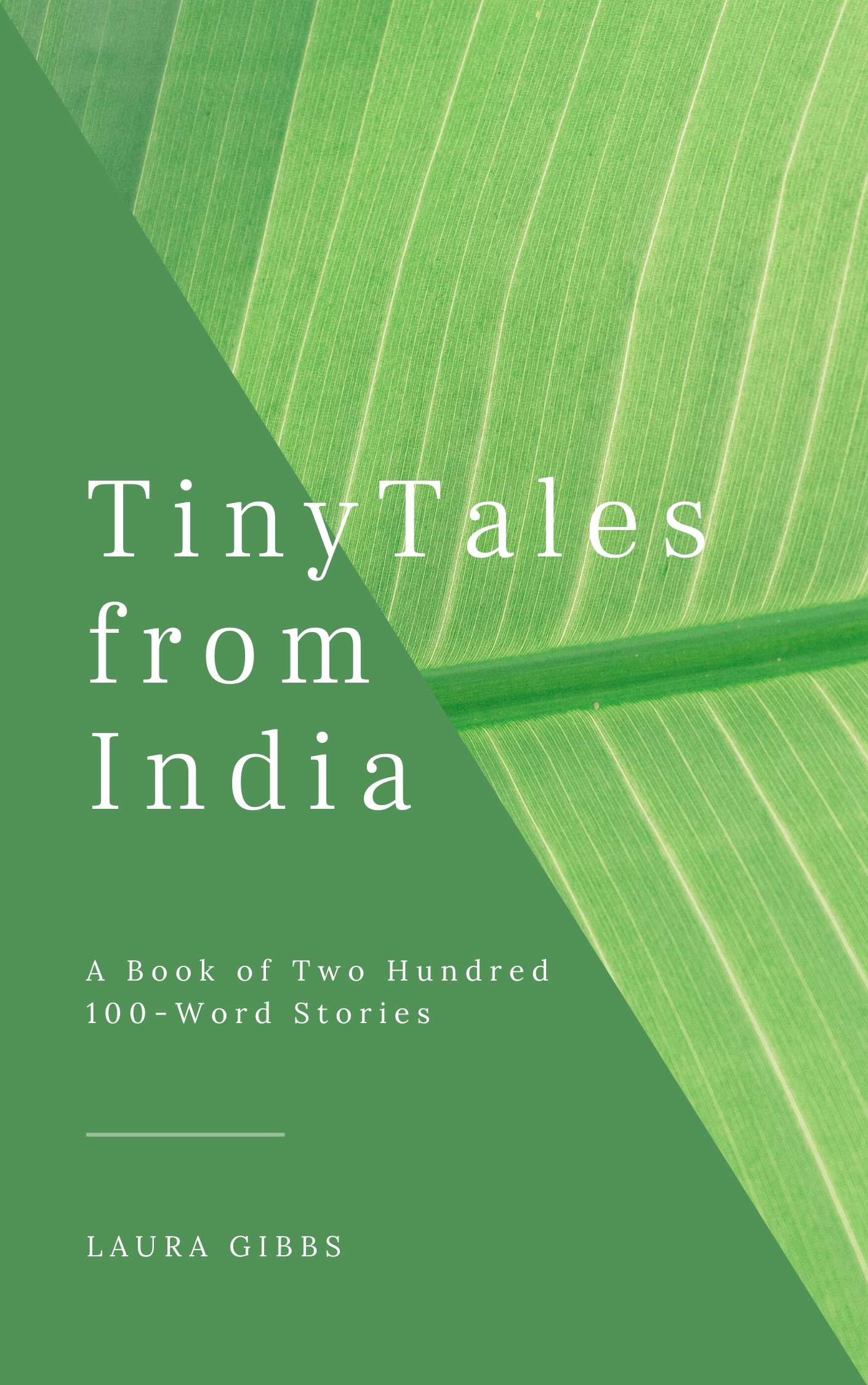 Cover image for Tiny Tales from India