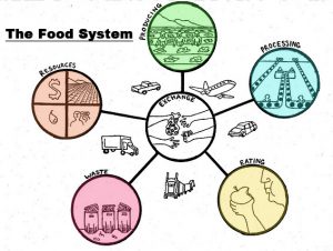 A diagram of the different components of the food system. Courtesy of Hunt041, a Wikimedia user