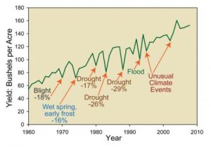 . This graph displays the average yield of corn in bushels per acre from 1960 to 2010. It also displays some extreme weather events and their effect on crop yield in that year.
