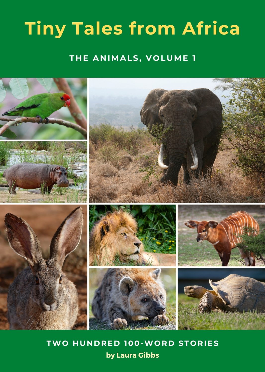 Cover image for Tiny Tales from Africa: The Animals (Volume 1)