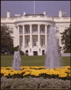 The White House and the fountains and gardens in front of it are shown