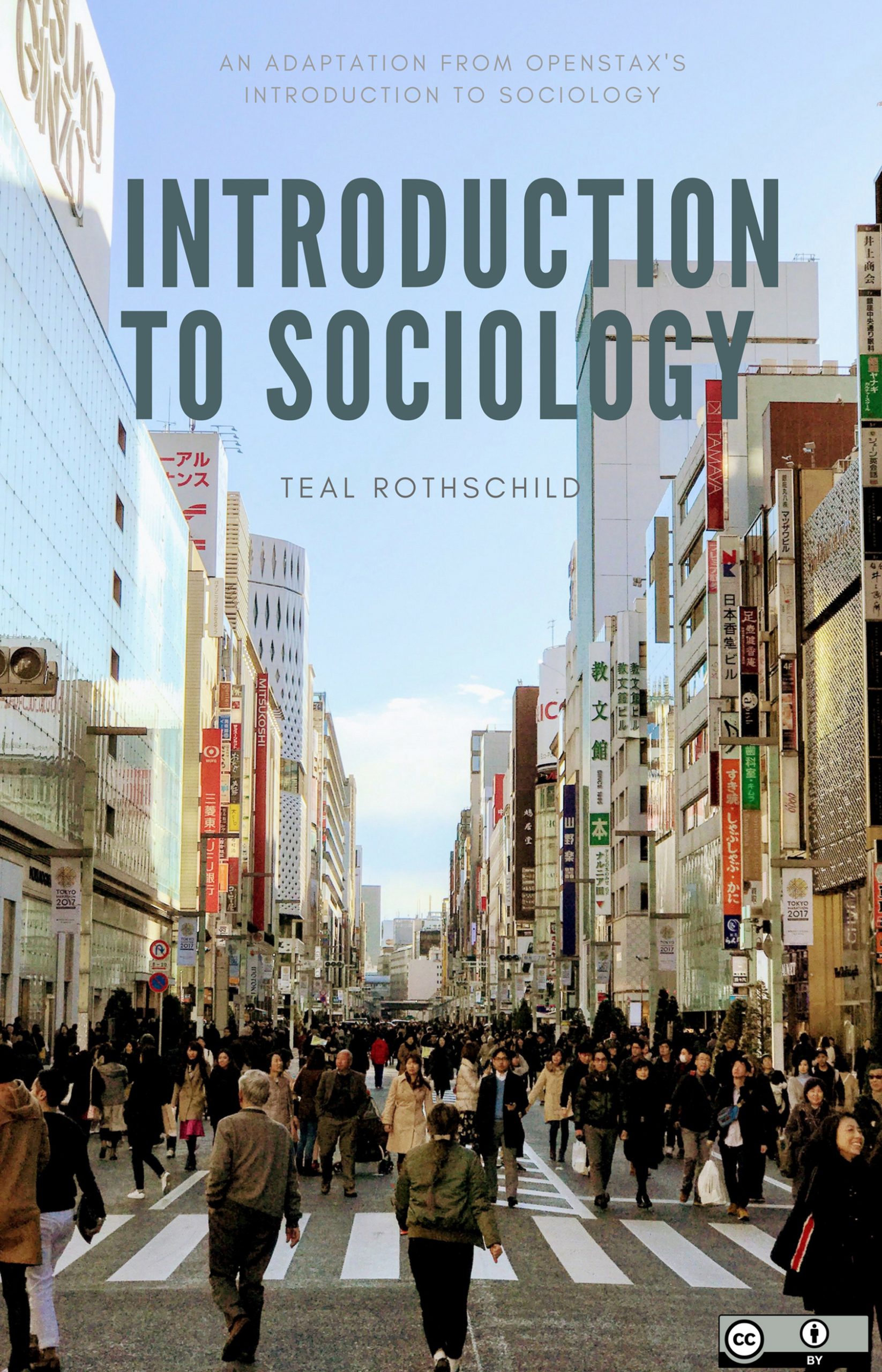 Cover image for Rothschild's Introduction to Sociology