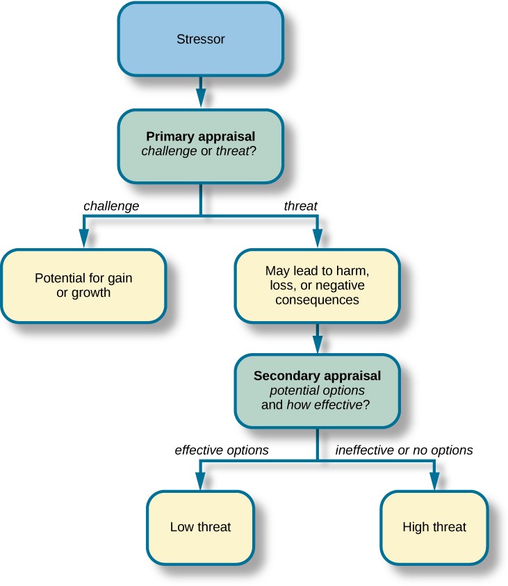 A concept map begins with a box titled “Stressor” at the top with an arrow underneath that leads to a box labeled “Primary appraisal: challenge or threat?” Below “Primary appraisal: challenge or threat?” is a line leading to the word “challenge” on the left side and “threat” on the right side. Below the word “challenge” is a box labeled “Potential for gain or growth.” There are no additional lines, arrows, or boxes under “Potential for gain or growth.” Below the word “threat,” there is a box labeled “May lead to harm, loss, or negative consequences.” Underneath the box, there is an arrow leading to another box labeled “Secondary appraisal: potential options and how effective?” The box has a line underneath that leads to the words “effective option” on the left side and “ineffective/no option” on the right side. Below the words “effective option,” there is an arrow leading to a box labeled “Low threat.” Below the words “ineffective/no option,” there is an arrow leading to a box labeled “High threat.
