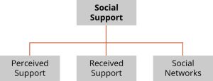 Diagram showing the three components of social support - perceived support, received support, and social networks.