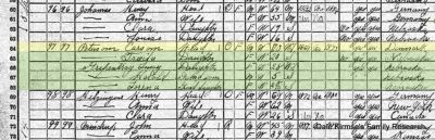 1920 US Census for Platte Center Village