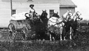 Wagon and Span of Horses