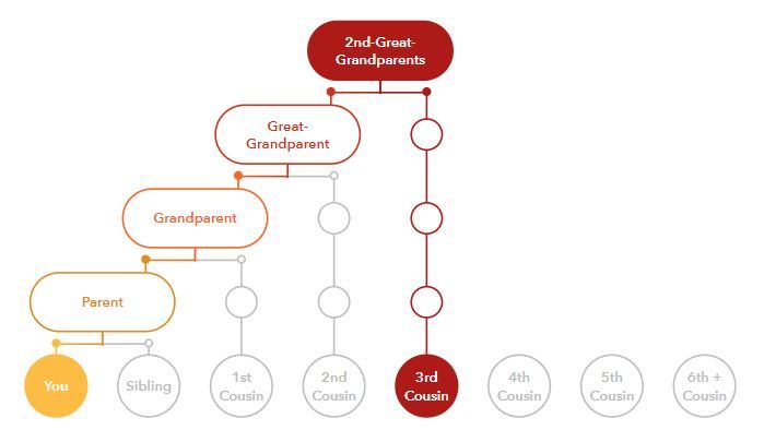 Common Ancestor Chart for 3rd Cousins Source: 23AndMe
