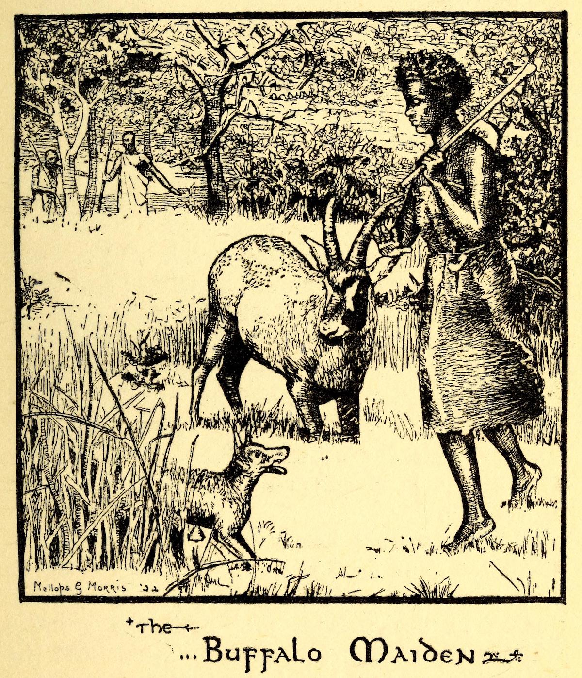 man watches buffalo maiden with animals in the forest
