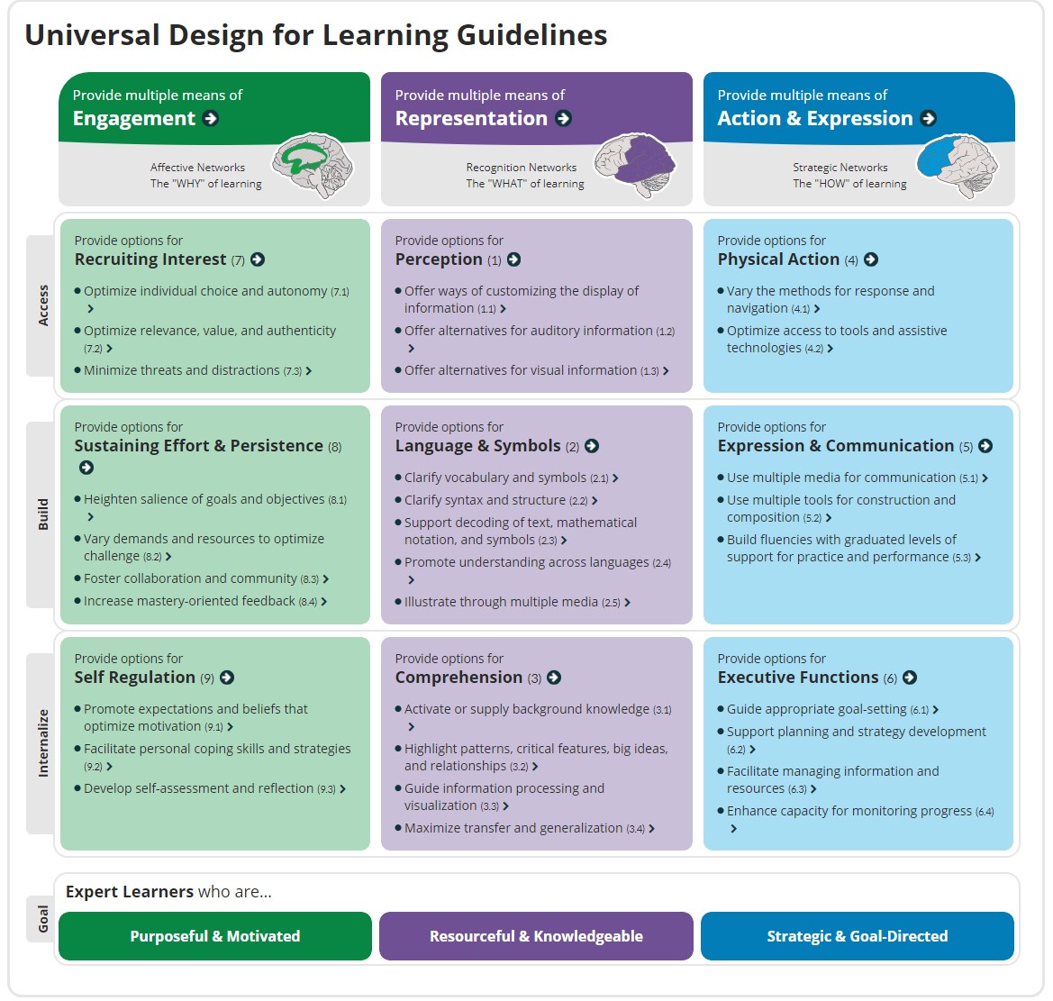 Universal Design for Learning Guildelines