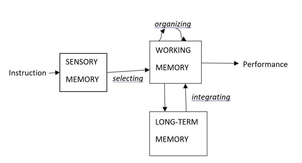 instruction is perceived in sensory memory, from which people select what goes into working and long-term memory