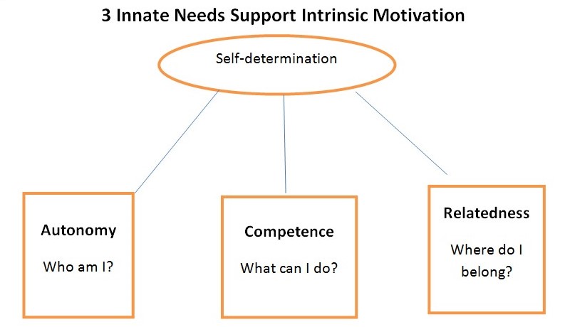 Self-determination is based on autonomy, competence, and relatedness