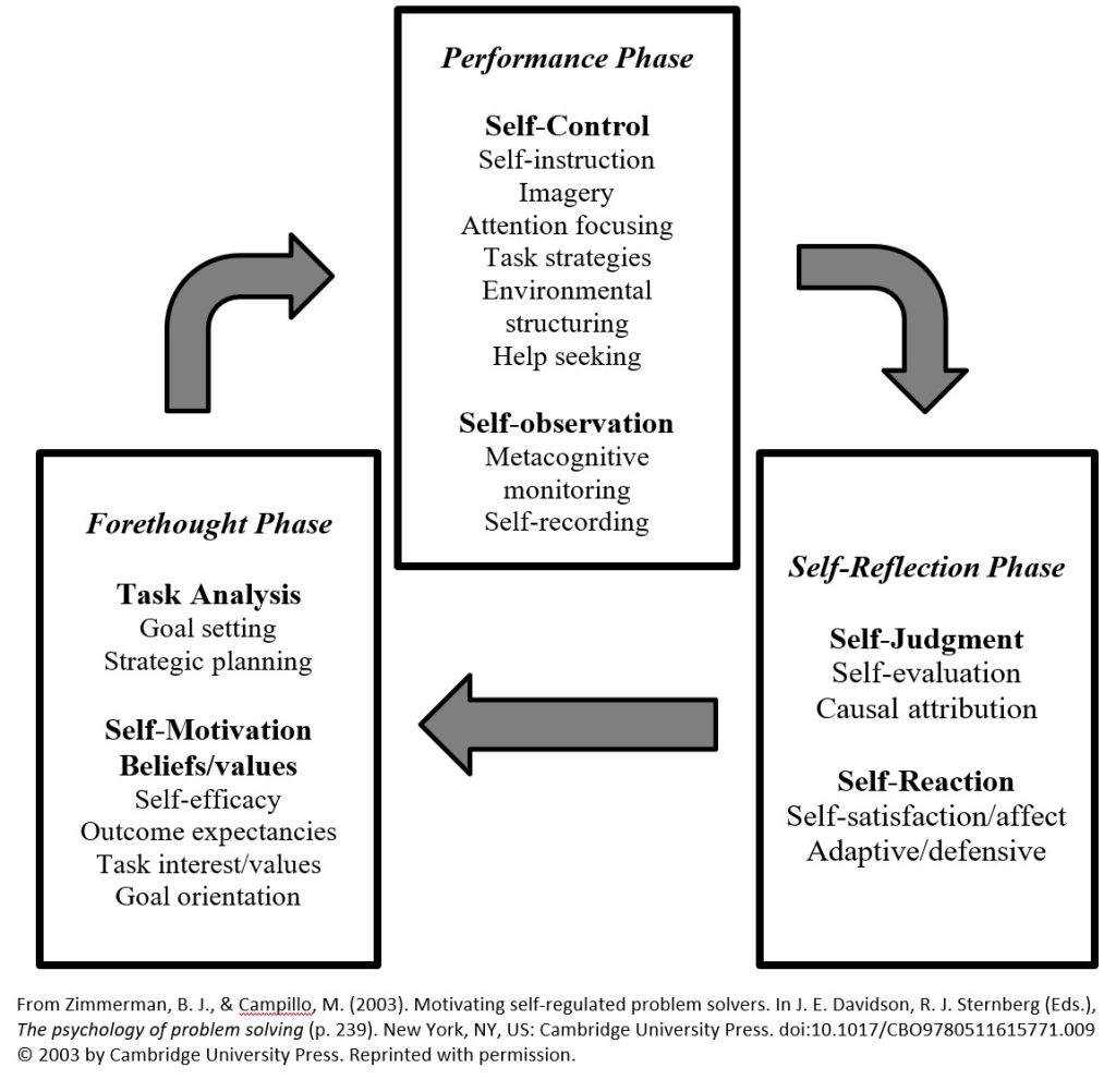 self-regulation cycle of forethought, performance, and self-reflection