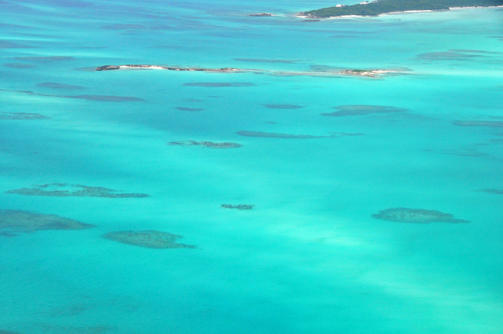 Reef Types and How Coral Reefs are Formed A Student’s Guide to