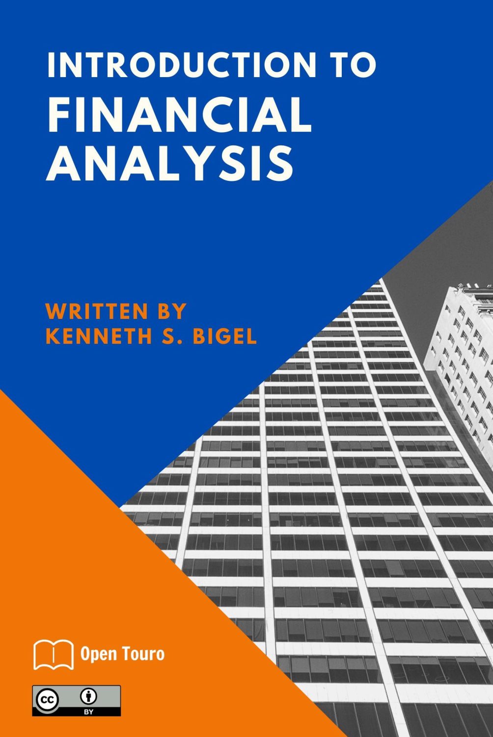Cover image for Introduction to Financial Analysis