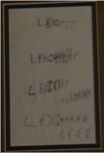 The Original LDDS Napkin