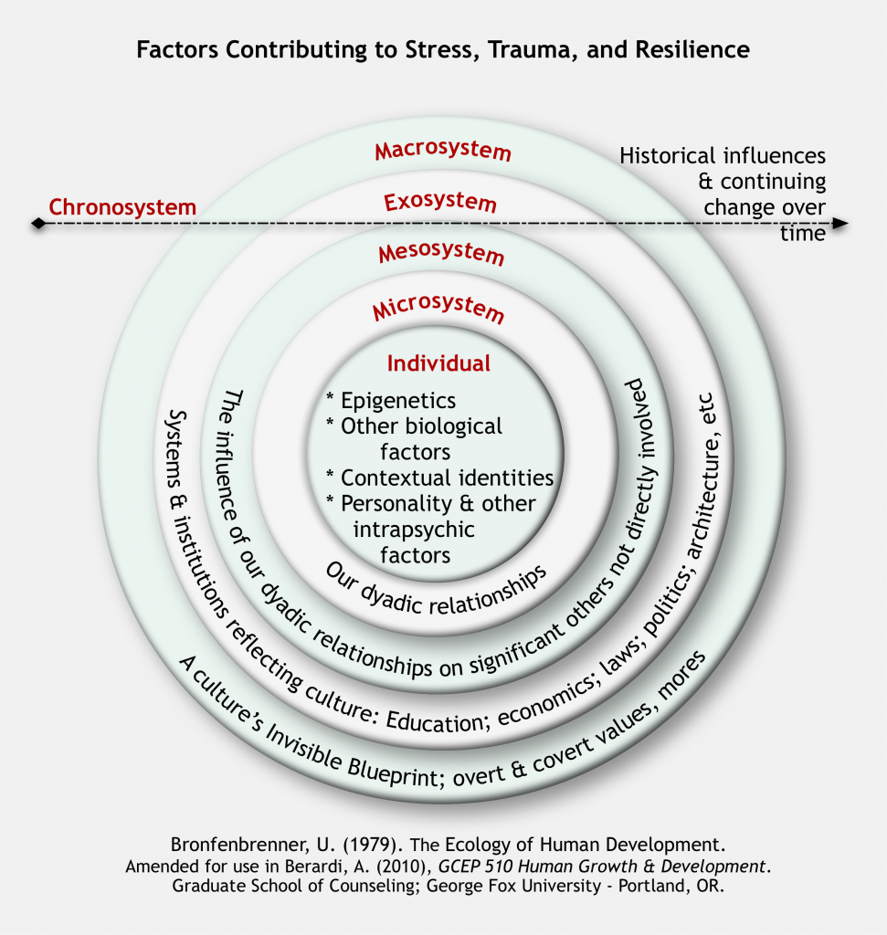 Diagram of factors contributing to stress, trauma, and resilience