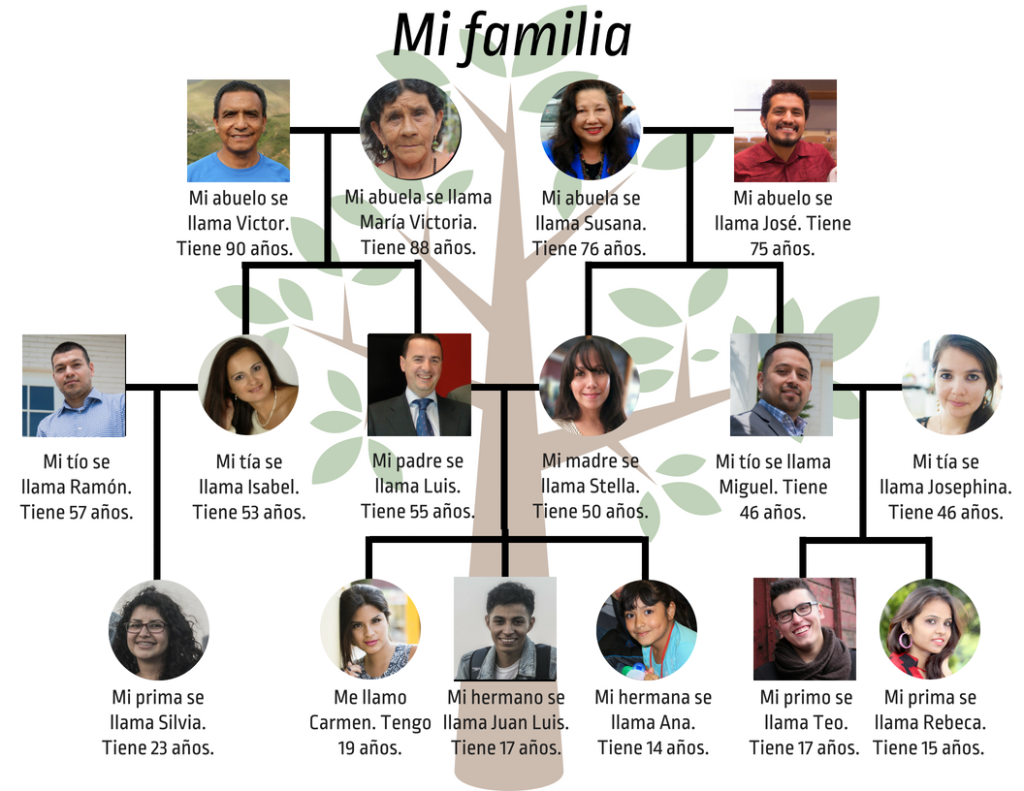 Title: Mi familia. Image of pedigree family tree with three generations. Bottom row: At left, Image of young woman with text “Mi prima se llama Silvia. Tiene 23 años”. To her right is an image of young woman with text “Me llamo Carmen. Tengo 19 años.” A space indicates that she is cousin to Silvia and sister to the next two images: a young man with text “Mi hermano se llama Juan Luis. Tiene 17 años” and a girl with the text “Mi hermana se llama Ana. Tiene 14 años.” Completing the bottom row of this pedigree chart are the images of two young people, separated from the previous group to indicate that they are cousins: a male with text “Mi primo se llama Teo. Tiene 17 años” and a female “Mi prima se llama Rebeca. Tiene 15 años.” Middle row: At left, an image of adult man with text “Mi tío se llama Ramón. Tiene 57 años.” A horizontal line indicates marriage to adult woman with text “Mi tía se llama Isabel. Tiene 53 años.” A downward vertical line indicates that they are the parents of Silvia. To the right of the image of Isabel is the image of adult man with text “Mi padre se llama Luis. Tiene 55 años.” Lines on the chart indicate that he is the father of Carmen, Juan Luis, and Ana and husband of next adult female depicted, whose text reads “Mi madre se llama Stella. Tiene 50 años.” The next adult male, to the right of and with lines indicating that he is Stella’s brother, has the text “Mi tío se llama Miguel. Tiene 46 años.” Lines indicate that he is the father of Teo and Rebeca and the spouse of the next adult female pictured, whose text reads “Mi tía se llama Josephina. Tiene 46 años. The top row of the pedigree chart contains four grandparents. At the left is the image of an old man with text “Mi abuelo se llama Víctor. Tiene 90 años”. Lines indicate that he is the father of Isabel and Luis and husband of the of old woman pictured to the right with text “Mi abuela se llama María Victoria. Tiene 88 años”. Next is the image of old woman with text “Mi abuela se llama Susana. Tiene 76 años”. Lines indicate that she is the mother of Stella and Miguel and wife of the old man depicted to her right, whose text reads “Mi abuelo se llama José. Tiene 75 años”.