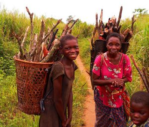 Collecting Firewood