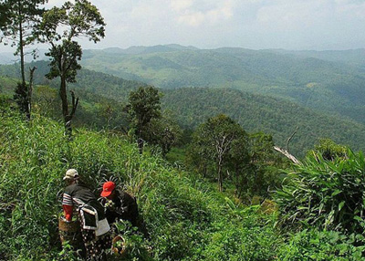 Image of Lahu Farmers