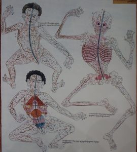 Image of the body in traditional Tibetan medicine.