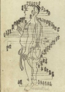 Image of a meridian used in Traditional Chinese Medicine.